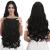 REECHO 20" 1-Pack 3/4 Full Head Curly Wave Clips in on Synthetic Hair Extensions Hairpieces for Women 5 Clips 4.5 Oz per Piece - Natural Black 20 Inch (Pack of 1) Natural Black