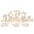 Penta Angel 10Pcs Wood Teething Rings Pain Relief Natural Wood Teething Toys Wooden Teether Animals for Infant Toddler  Turtles Swallows Dolphins Starfish Pigeons Birds Woodpeckers Fish Turtle(A)