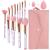 Makeup Brushes Sets Start Makers Professional 12Pcs Pink Marble Brush Set with Foundation Concealer Blush Eyeshadow Beauty Blender and Make Up Bag