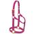 WEAVER Leather Non-adjustable halter raspberry Average Horse