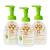 Foaming Pump Hand Sanitizer, Alcohol Free, Mandarin, Kills 99.9% of Germs, 8.45oz- Babyganics Pack of 3