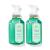 Bath & Body Works Bath and Body Works White Tea & Sage Gentle Foaming Hand Soap 8.75 Ounce 2-Pack (White Sage) 17.5 Ounce White Tea & Sage 8.75 Ounce