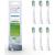 Philips Sonicare Original W2 Optimal White Standard Sonic Toothbrush Heads - 6 Pack in Black (Model HX6066/10) 6 Count (Pack of 1)