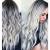 23 Natural Full Wigs Hair Long Wavy Wig Synthetic Heat Resistant (Ombre Silver)