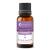 Lavender Essential Oil Pure and Natural (10ml) 10 ml (Pack of 1)