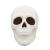Creative Hobbies Ready to Paint Ceramic Bisque  5 Inch Long x 4 Inch Tall Skull  Includes How to Paint Your Own Pottery Booklet