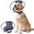 Romantic Bear Halskrause Dog After Operations Wounds Collar Leck Protection adjustable lightweight protective collar waterproof PVC recovery collar soft dog collar for dogs cats m (32-42cm) m (Neck: 32-42cm)