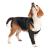 Suitical Recovery Sleeve Hund XS Schwarz Schwarz XS (1Pack)