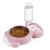 Azwraith Double Dog Cat Bowls, Pet Water and Food Bowl Set with Automatic Water Dispenser Bottle Detachable Stainless Steel Bowl for Small Dogs and Cats Kitten Puppy Rabbit Bunny Pink