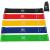 Fitness Bands Sport Resistance Bands Set of 5 for Yoga Pilates with Training Instructions and Storage Bag 5 Colors