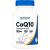 Nutricost CoQ10 100mg, 120 Vegetarian Capsules, 120 Servings - High Absorption, Vegetarian, Non-GMO, Coenzyme Q10 120 Count (Pack of 1)
