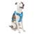 Kurgo RSG Dog County Harness Comfortable Padded Dog Hiking Harness Adjustable MOLLE Compatible Medium-Coastal Blue Medium County Harness Coastal Blue