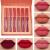 evpct 6Pcs Matte Liquid Lipstick Set Lip Stain Makeup Kit 24 Hour Long Lasting Waterproof Dark Red Stay on Matte Matt Lipsticks Set for Women Matt Liquid Lippies labiales matte larga duracion 24 C-01 6 Count (Pack of 1) ...