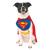 Rubie's Men's Superman pet costumes Blue L EU Blue L