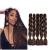 Showjarlly Braids Extensions Jumbo Braid Kunsthaar Hair Brown Braid Extension 24 inch KanCalon Hair Braid Extensions 5 pieces for crochet twist lichen hair box braid for braiding braids 61cm-24 inch (5-pack) chocolate brown