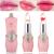 2 Pack Crystal Flower Jelly Lipstick Magic Color Changing Lipstick PH Clear Temperature Color Changing Lip Gloss Lip Balm Long Lasting Nourishing Moisturizing Lip Stick Set(Set A)