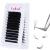 Fadlash Easy Fan Lashes C Curl 0.05 8-14mm Mixed Length Russian Lashes Natural Look Self Fanning Eye Lashes Automatic Blooming Russian Eyelashes Extensions(0.05-C-814) 8-14 mm 0.05-C
