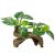Smoothedo-Pets aquarium decoration ornaments Betta-silk blade pad hammock artificial driftwood cavity goldfish shell accessories (type C) type C