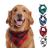 Oyccen 4PCs Classic checkered dog hill towel cotton bandana puppy neckerchief pet triangle scarf for small medium and large dogs mixed cats