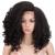 Style Icon 14" Afro Wigs Short Curly Wigs for Black Women Lace Front Side Part Synthetic Wigs (14 Inches, 1B) 14 Inch (Pack of 1) 1B