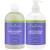 Shea Moisture Anti Dandruff Shampoo and Conditioner Set with Salicylic Acid  System for Stronger Hair & Healthier Scalp  Apple Cider Vinegar Shampoo and Conditioner  12 Oz Ea