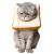 Amakunft Adjustable Cat Cone Collar Soft, Cat Recovery Collar, Cute E Collar for Cats After Surgery, Cat Neck Cones to Stop Licking for Cat/ Kitten/ Small Dog Toast