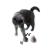 Lucybalu felt balls with bell for cats |Cat toys |Filz cat balls |Cats from wool |Natural toy for cats |Play balls for cats with bell |3 pieces
