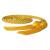 Endea Graduation Single Honor Cord (Gold)