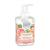 Michel Design Works Foaming Hand Soap  Pink Grapefruit