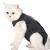 Lianzimau Katzenbody after op with anti-licking for abdominal wounds soft home indoor pet clothing E-neck band Alternative for cats dog after the operation s (1 Pack) gray