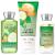 Bath & Body Works Signature Collection Cucumber Melon Gift Set   Body Cream   Shower Gel & Body Lotion. Lot of 3