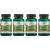 Swanson Lion's Mane Mushroom Memory 500 mg - 60 Capsules - Pack of 4