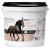 Reavet Darm Prebiotic 1kg for horses stomach intestinal horse faecal water horses intestinal problems horse grain -free natural product without additives 1 kg (1 Pack)