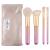 Moda Royal & Langnickel MSET-RCK4 Make-up brush set in full metallic rose complete face 5-part including a round powder angled Kabuki angle shader and smudger brush rose