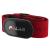 Polar H10 Heart Rate Monitor  ANT + M-XXL: 26-36" Red Beat