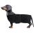 Minezi Dachshund dog winter jacket.Waterproof dog jacket.With wool inner and adjustable shoulder straps.Dog clothing in the free-black-m m (back long: 42-45cm) black