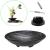 Eggone Japanese Ikebana Kit Floral Frog Flower Container with Kenzan Needle Straightening Tool - 1.57inch Black Flower Frog  6.7inch Bowl Vase