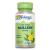 Solaray Mullein 330 mg 100 VegCaps