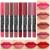 evpct 8Pcs Nude Pink Beige Ruby Rose Red Brown Chestnut Mauve Matte Lipstick and Lip Crayon Liner Pencils Pen Set for Women DNM Designer Lip Stick Set with Liner labiales mate 24 horas originales 01 8 Count (Pack of 1) S...