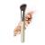 HALEYS Brilliant Contour Brush, Soft Premium Synthetic Bristles, Streak-free Blending & Sculpting, Angled Makeup Brush, For Cream, Liquid or Powder Blush, Contour or Bronzer, Vegan, Cruelty-free, Sustainable Wood Handle