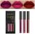 3Pcs Matte Liquid Lipstick Sets Dark Red Purple Matte Lipstick Lip Stain Long Lasting 24 Waterproof Lip Gloss Gift Set Matt Lipsticks Set Matt Liquid Makeup Lipstick for Women Lippies (Set01)