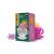 Clipper Organic Fair Trade Defending Green Tea 20 Bags (Pack of 4)