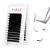 Fadlash Easy Fan Lashes D Curl 0.07 9-17mm Mixed Length Russian Lashes Natural Look Self Fanning Eye Lashes Automatic Blooming Russian Eyelashes Extensions(0.07-D-917) 9 - 17 mm 0.07-D