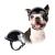 Namsan pet helmet cool motorcycle dog heal from acrylic nitril buttodes styrene no pressure on the ear dog hut head protection Head protection dog protection helmet for cycling outdoor activities (black) m black