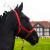 Horse delinis halter foal halter for mini shetty halter for wooden horse- foal halter twice adjustable on chin and neck pieces (red foal) red foal