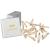 HAARallerliebst hair clips small (20 pieces | beige | 4.3cm) including box for storage (box color: white)