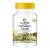 Pumpkin seed extract 500mg - pumpkin seeds plus vitamin E & selenium - high -dose - 100 capsules |Warnke vital substances - German pharmacy quality