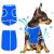 Crufts Pet Cooling Vest in Colour Box Small