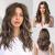 HAIRCUBE Brown Curly Wigs for Women Synthetic Hair Wig with Blonde Highlights Light Brown