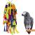 Rypet Large and Small Parrot Chewing Toys - Parrot Cage Bite Toys Wooden Block Tearing Toys for Conures Cockatiels African Grey and Other Amazon Parrots
